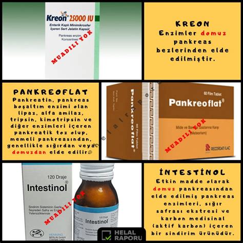 pankreatik enzim içeren ilaçlar
